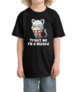 Trust me I'm a wizard