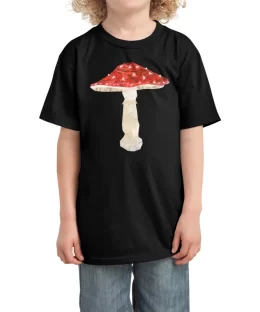 Fly agaric