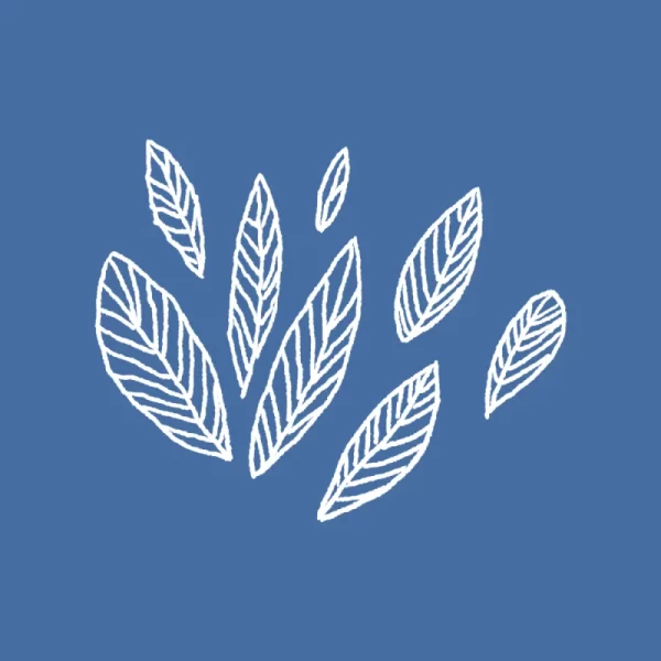 shirt-1622216627-fcf2d5b7c13d20799fc6790b8567c8fd