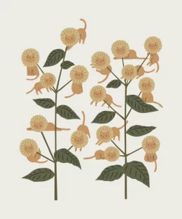 Cat and Plant 8: Blossomeow